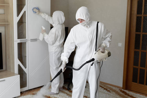 Why You Should Choose Our Mold Remediation Services in Churchill, MT